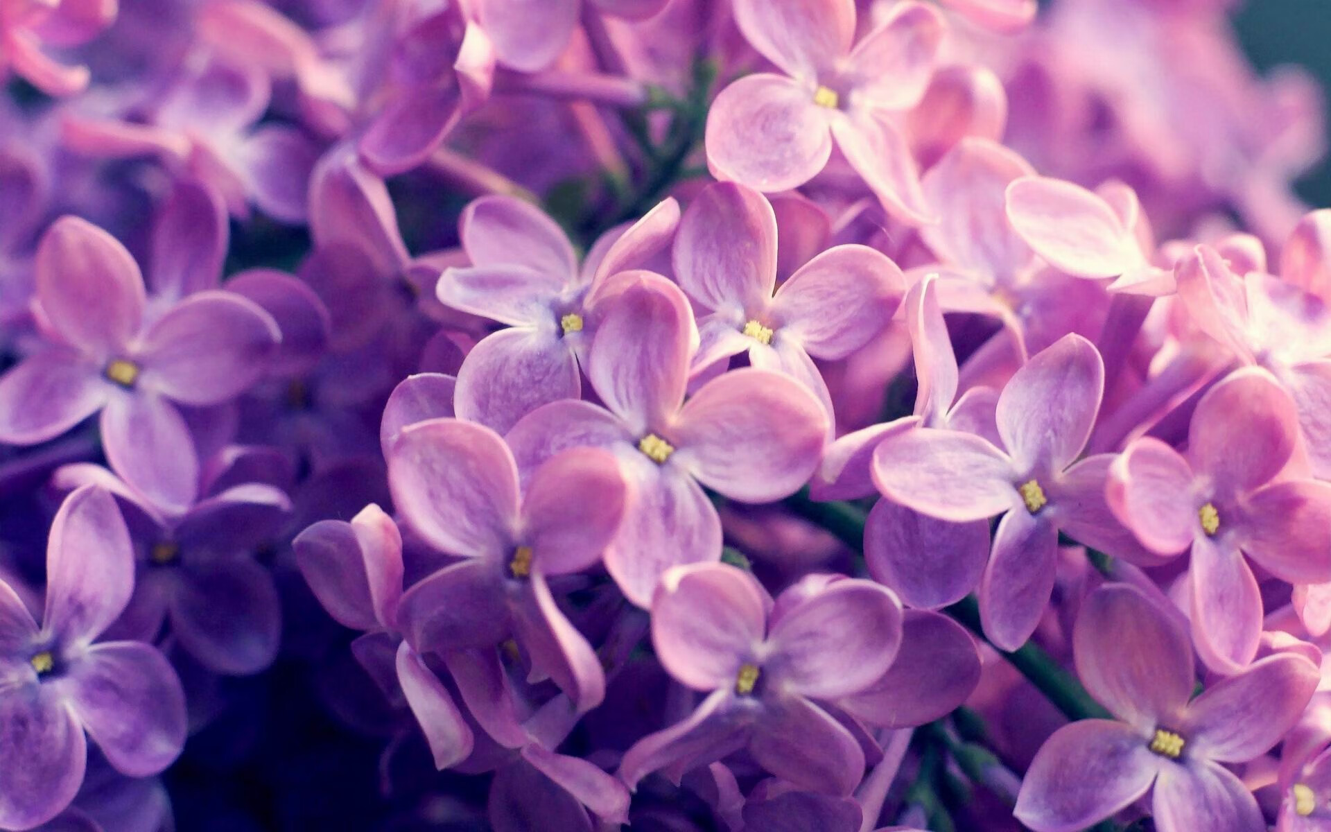 开云网页版-国王队青年力量崛起，球队未来充满希望，国王队青年力量崛起,球队未来充满希望