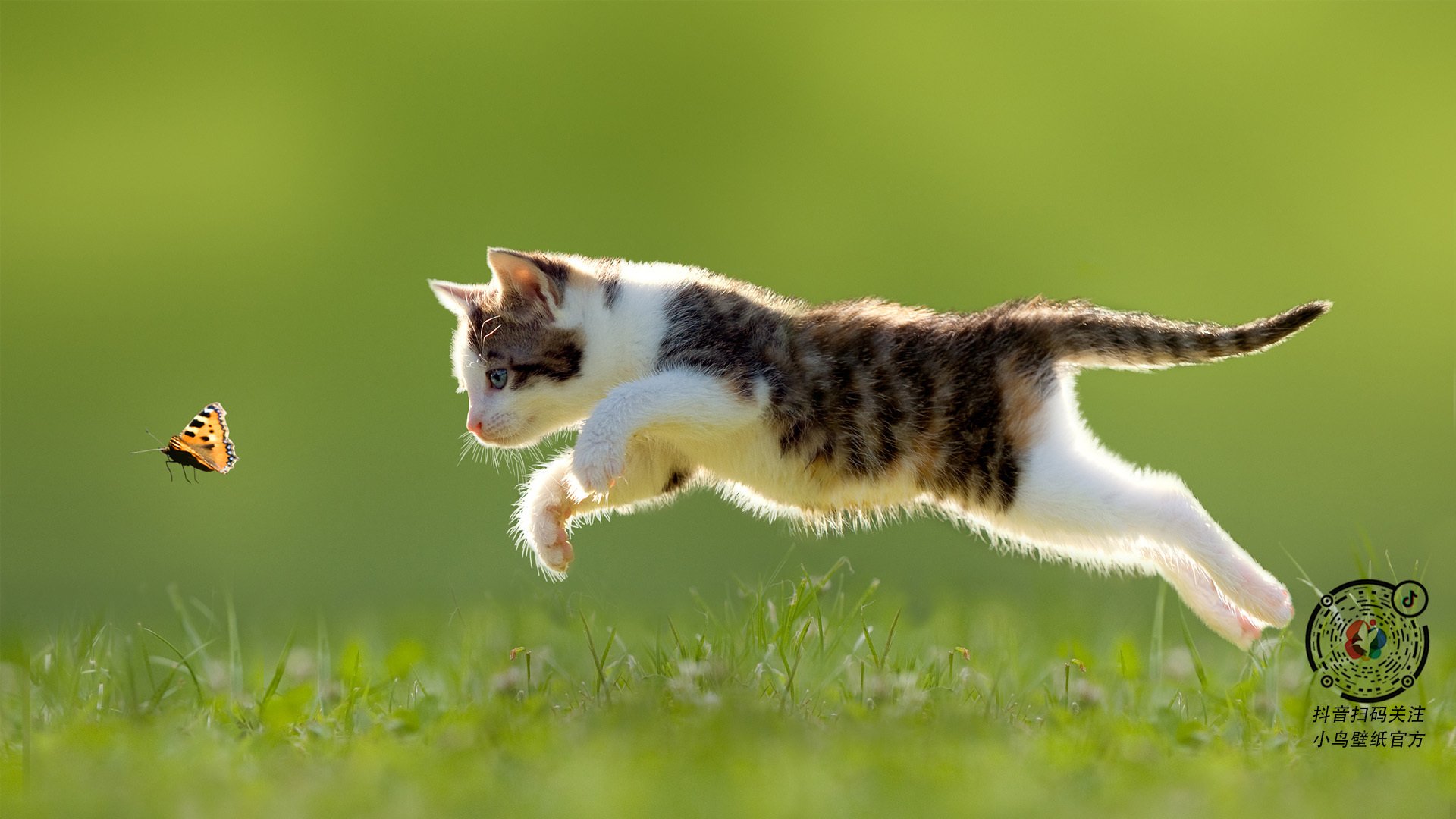 开云官网首页-中国足球联赛裁判技术辅助系统全面上线，中国足协裁判规则