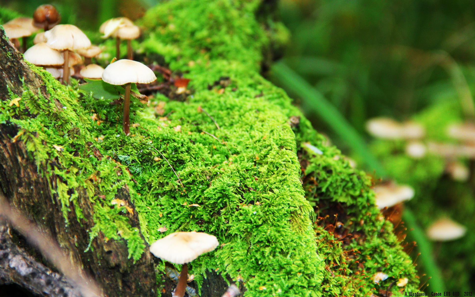 kaiyun体育综合-德甲场面火爆：攻守精彩回放不断，德甲现场