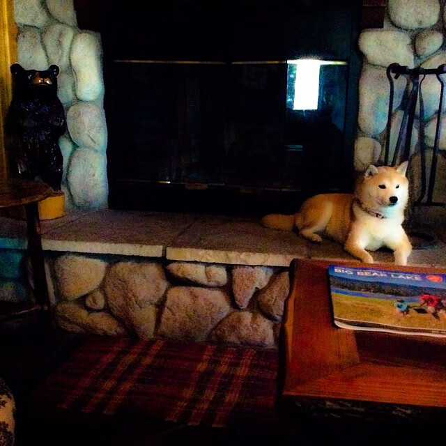 开云官网首页-快攻反击转换迅速，点球命中率提升，nba反击快攻