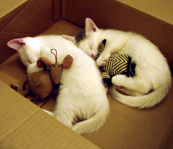 开云·体育官方网站入口-欧洲杯激情澎湃：战术创新，引领潮流！，欧洲杯比赛集锦eman01。in