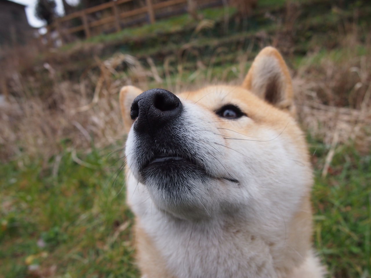 开云官网APP下载-比赛结果引发外界争议官方表态呼吁理性看待裁判判罚，比赛裁判不公平怎么办