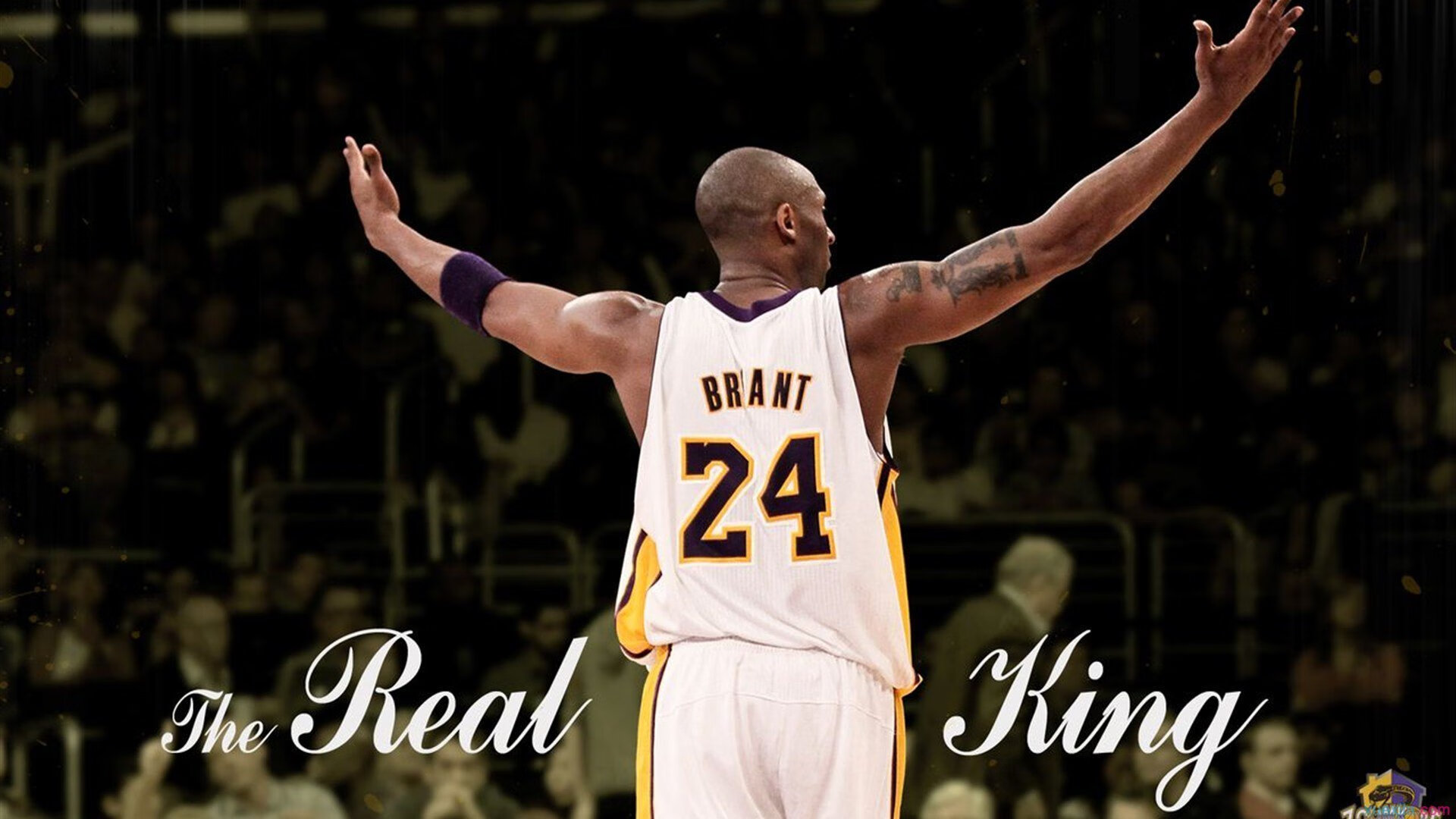 开云体育下载官网-西甲青训体系日益完善，涌现出多名新星，西甲青训政策